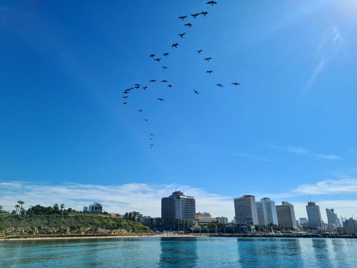 Lapin 9 - By Beach Apartments Tlv 特拉维夫 外观 照片